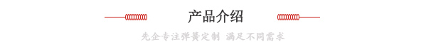 產品介紹